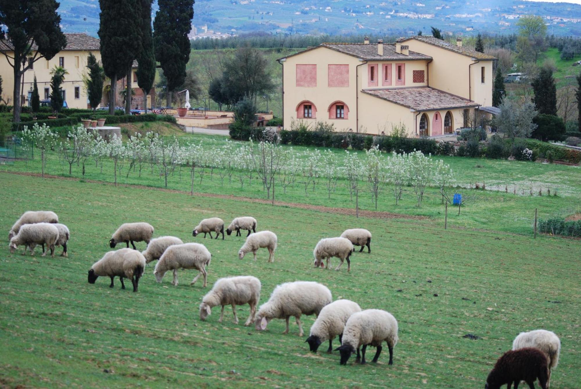 Agriturismo Fattoria Rozzalupi Cerreto Guidi Exterior foto